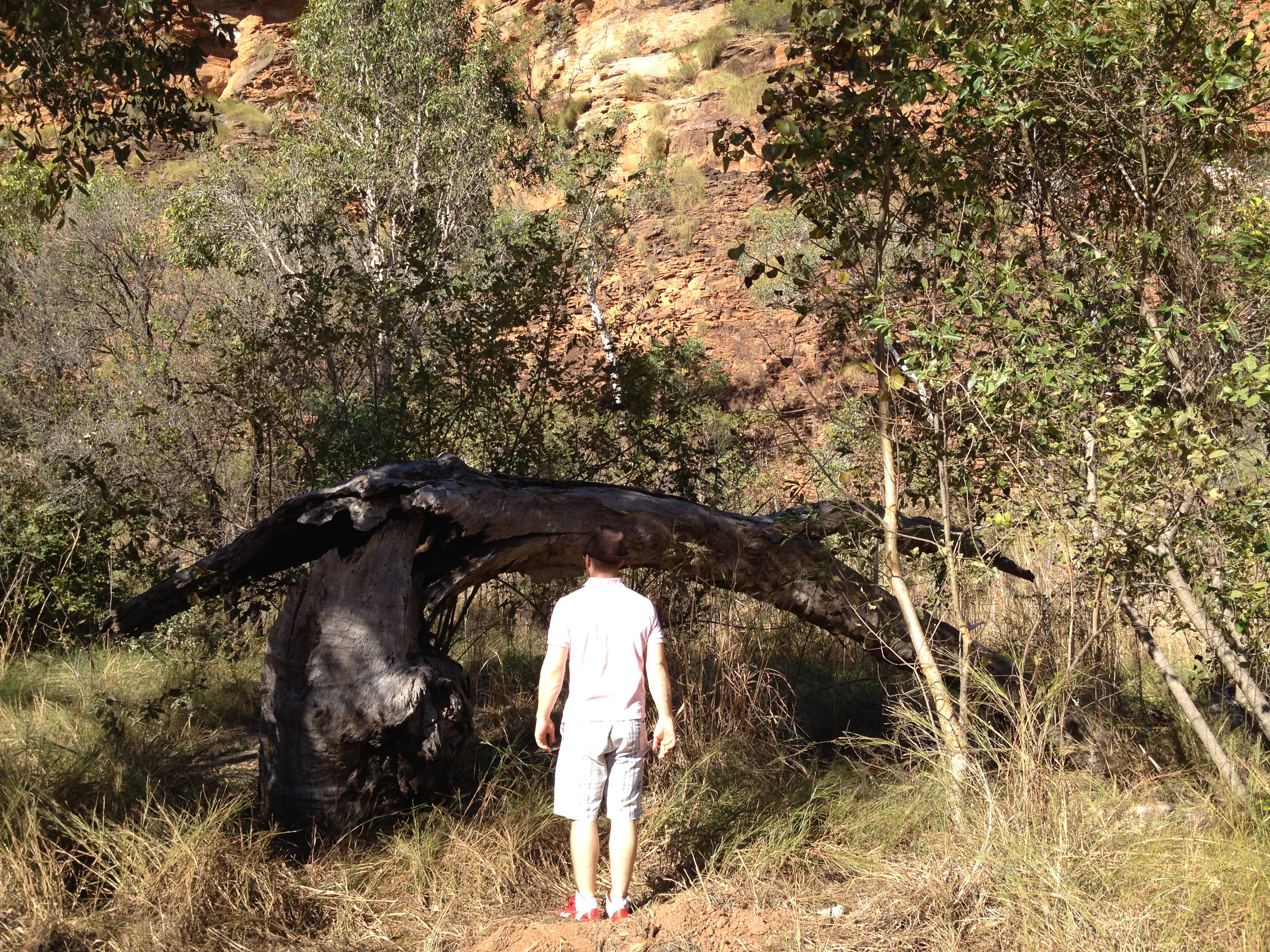 Zebra Rock Gallery, Kununurra Aksel Kolstad